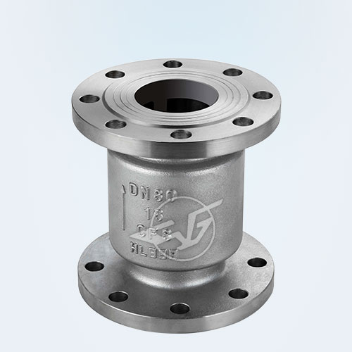 Stainless steel vertical check valve