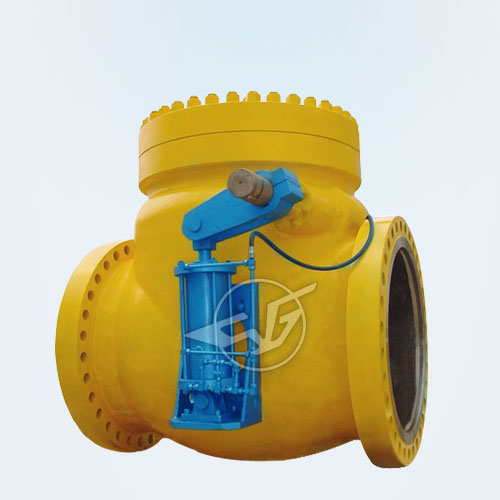 Swing check valve